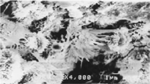 渗透防水是如何起作用的？